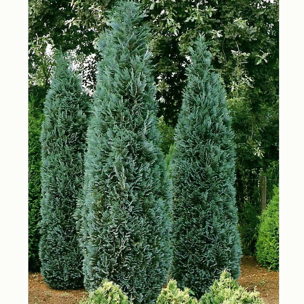 All